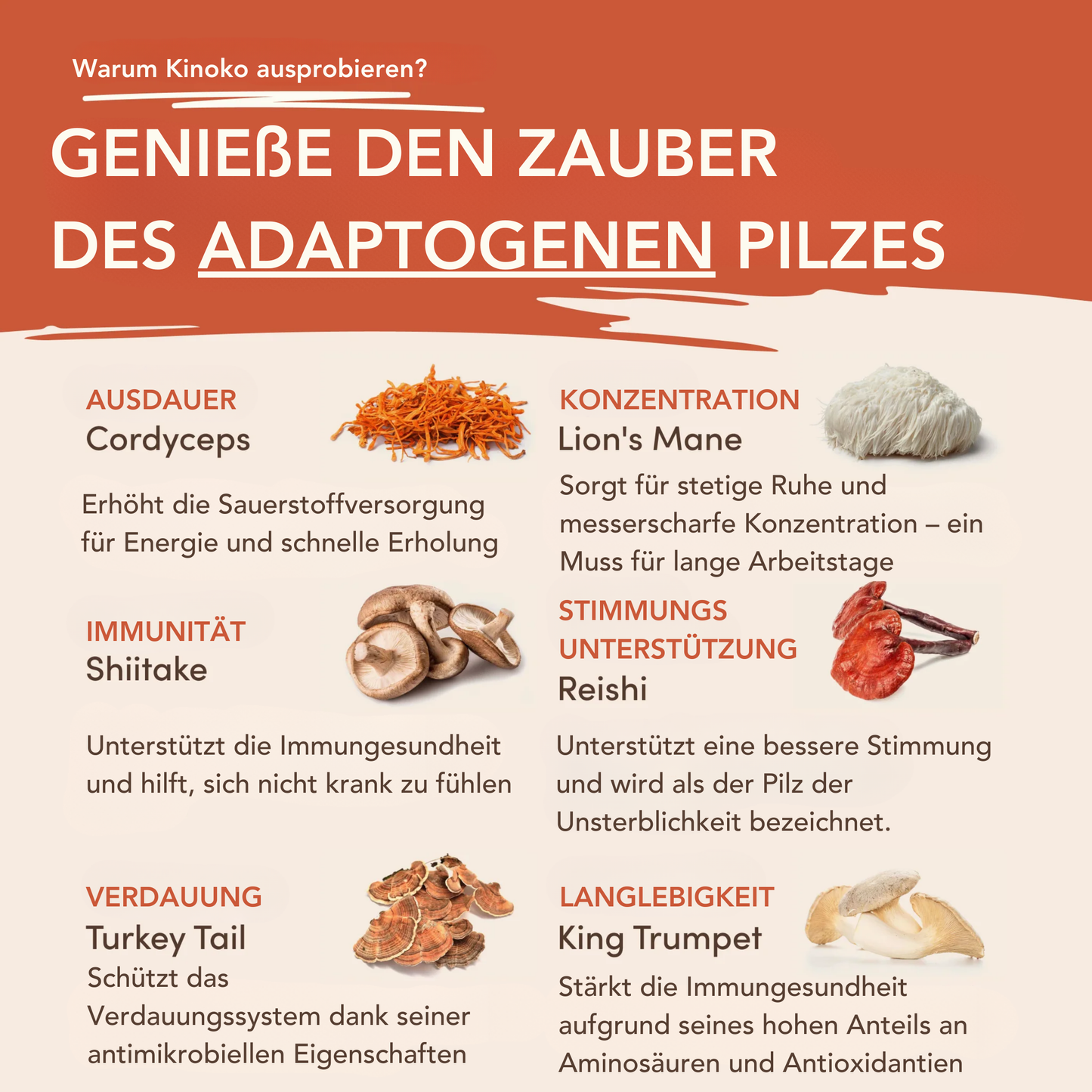 Kinoko Pilzkaffee